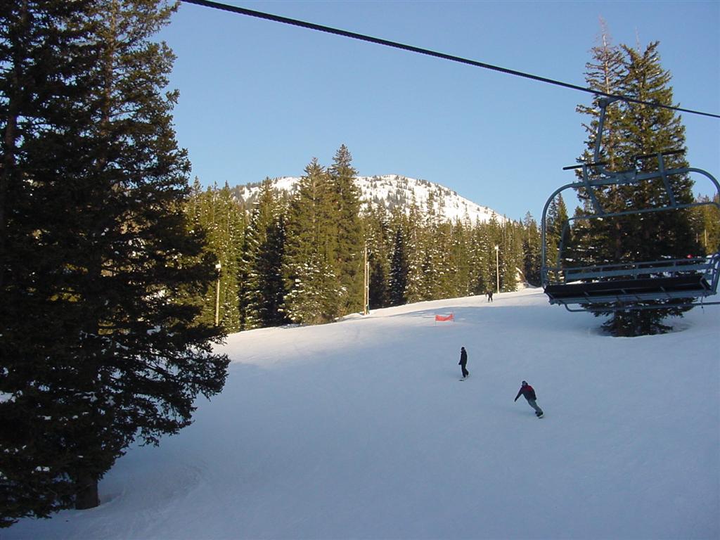DSC04267 (Medium).JPG